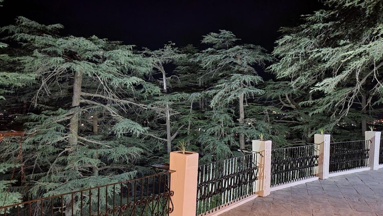 Glen View Heritage Homestay Shimla Extérieur photo
