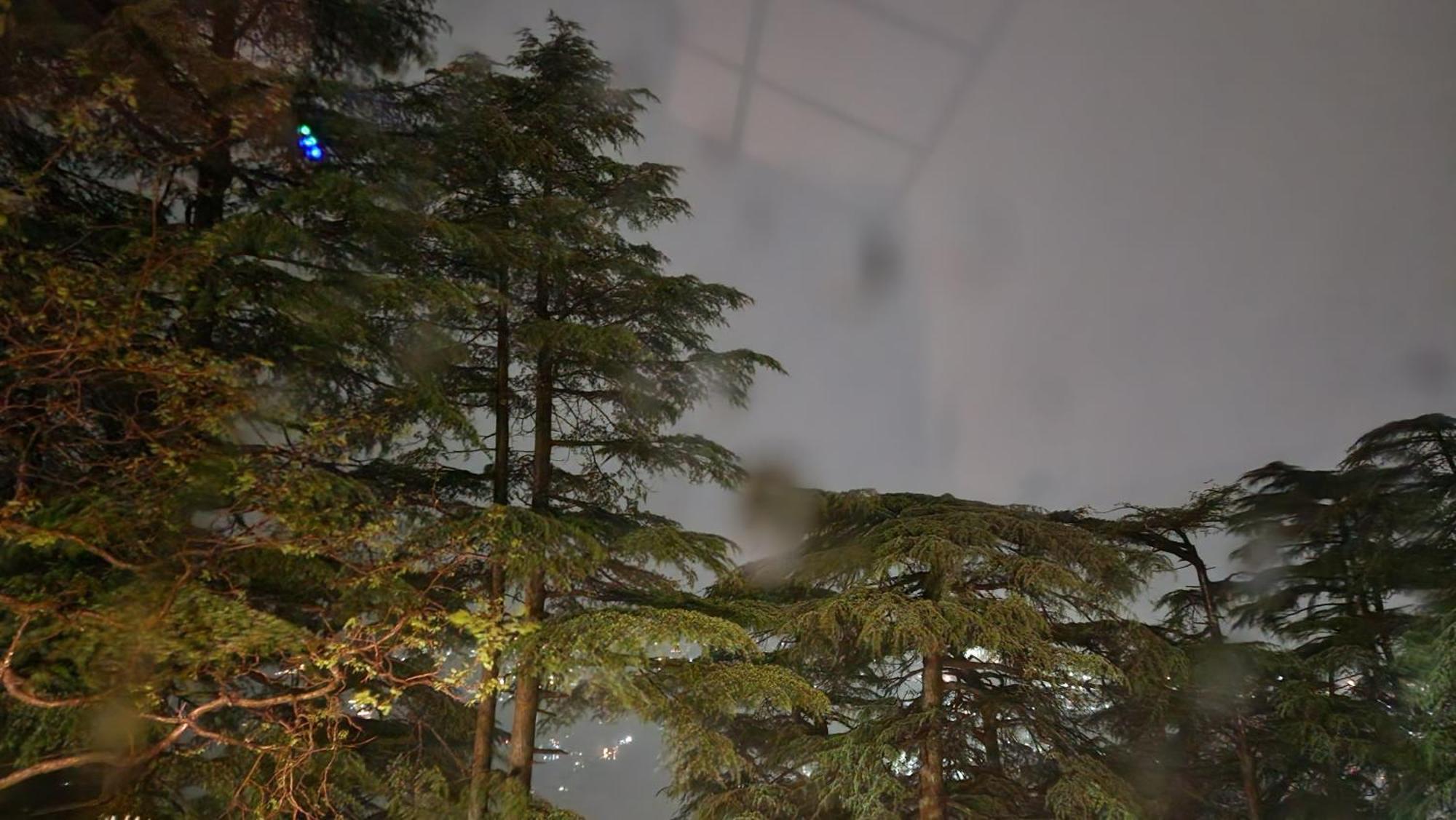 Glen View Heritage Homestay Shimla Extérieur photo