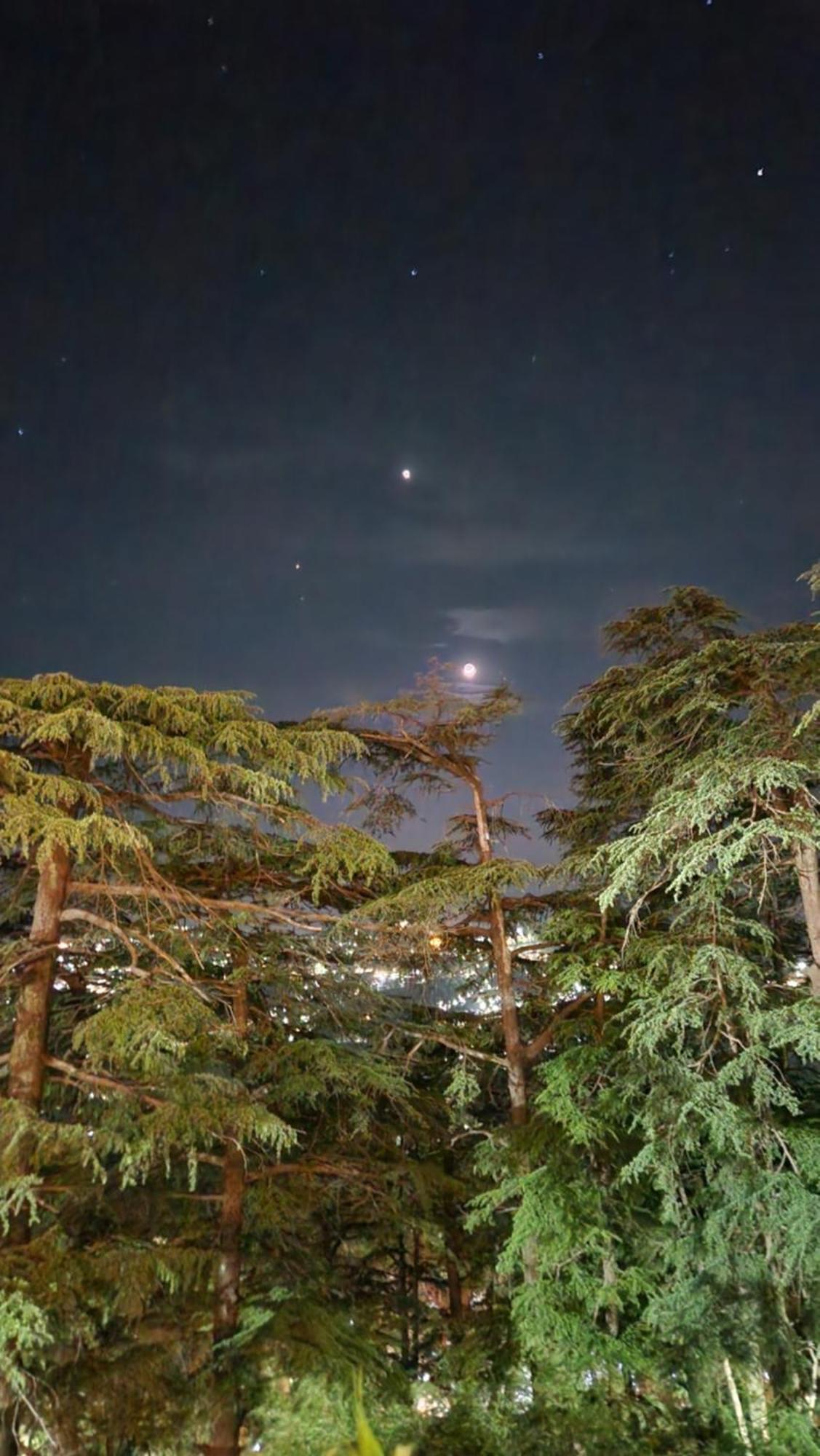 Glen View Heritage Homestay Shimla Extérieur photo