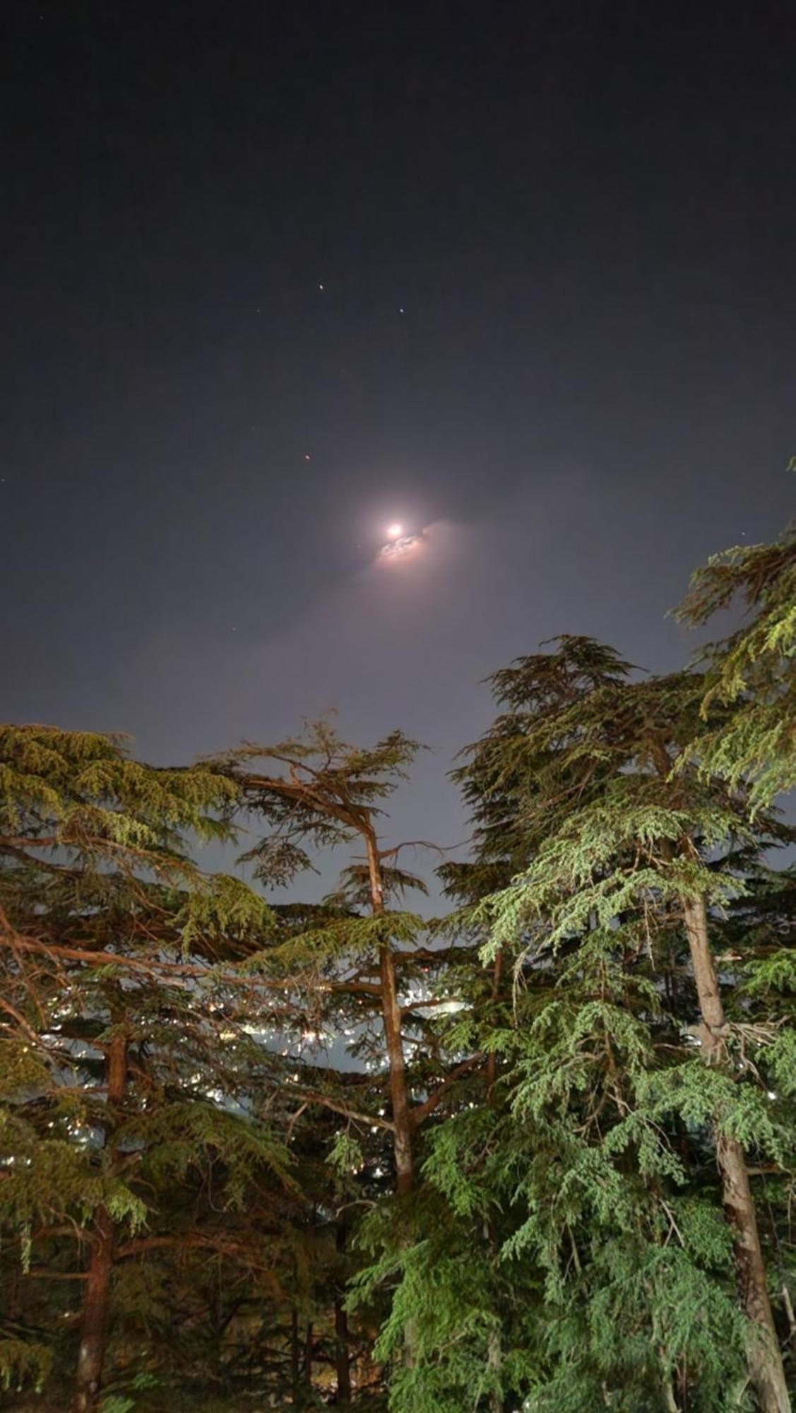 Glen View Heritage Homestay Shimla Extérieur photo